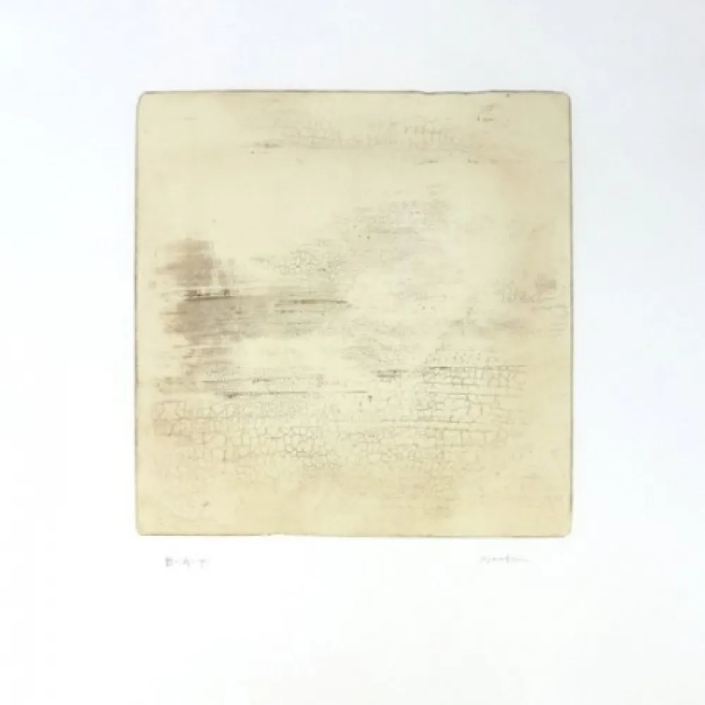 彫版 Su - Intactness C