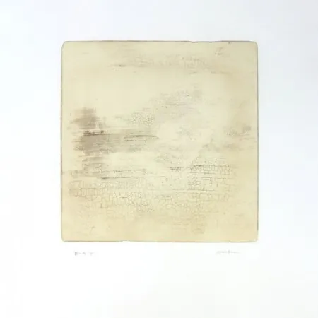 彫版 Su - Intactness C