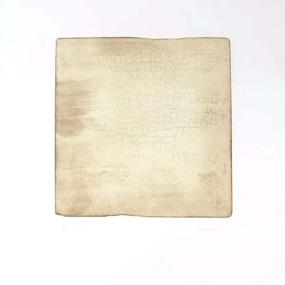 彫版 Su - Intactness D