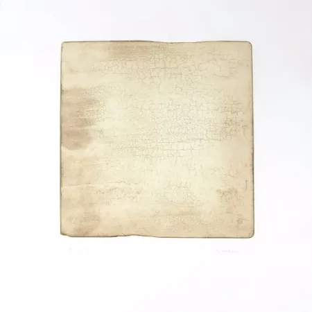 彫版 Su - Intactness D