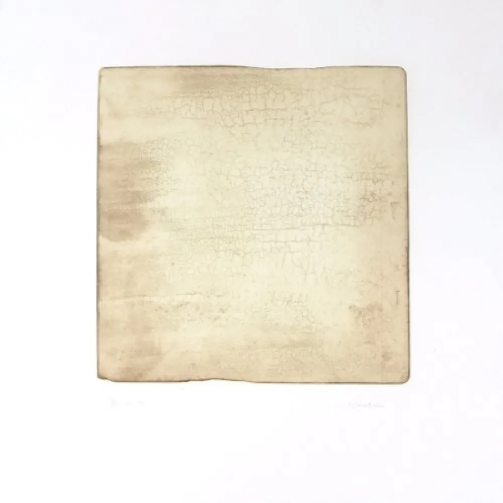 彫版 Su - Intactness D