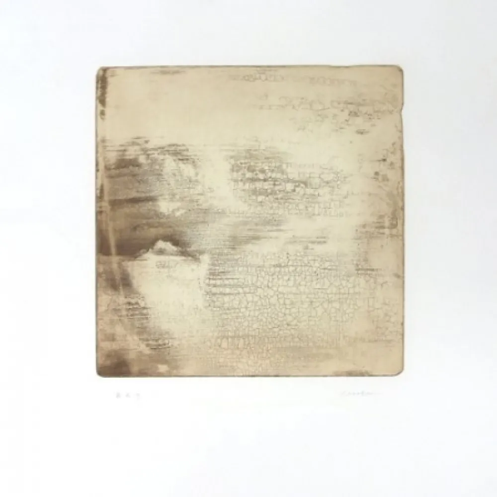 彫版 Su - Intactness E