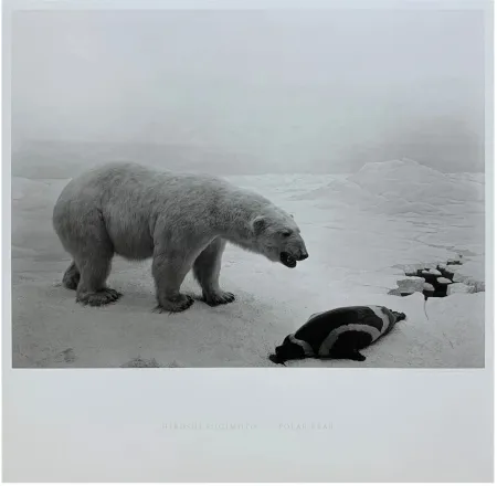 多数の Sugimoto - Polar Bear