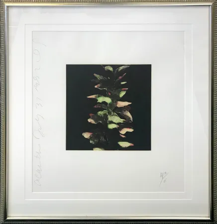 シルクスクリーン Sultan - ACANTHUS