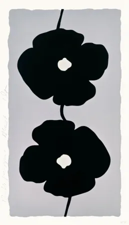 多数の Sultan - Double Poppies Black