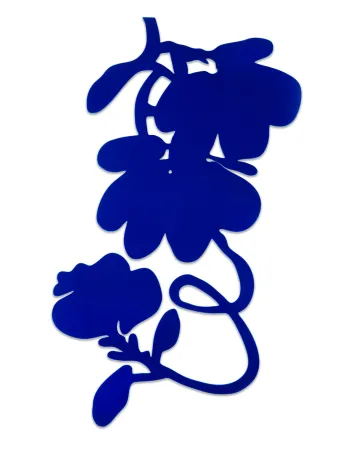 多数の Sultan - Lantern Flowers (Blue)
