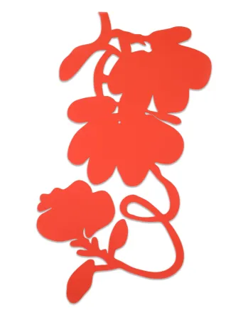 多数の Sultan - Lantern Flowers (Red)