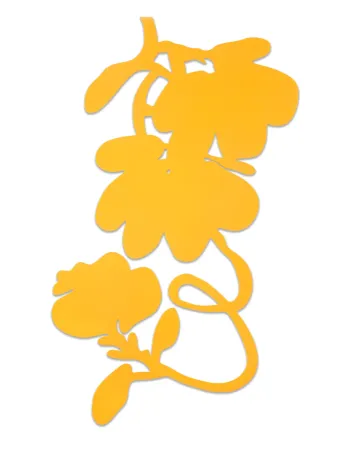 多数の Sultan - Lantern Flowers (Yellow)