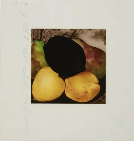 シルクスクリーン Sultan - Lemon Juice and Pears from Fruits and Flowers