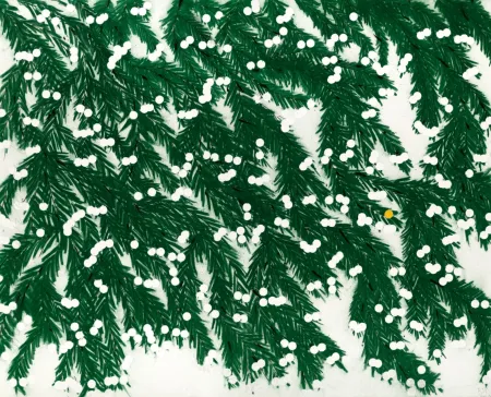 多数の Sultan - Mimosa, April 12, 2023