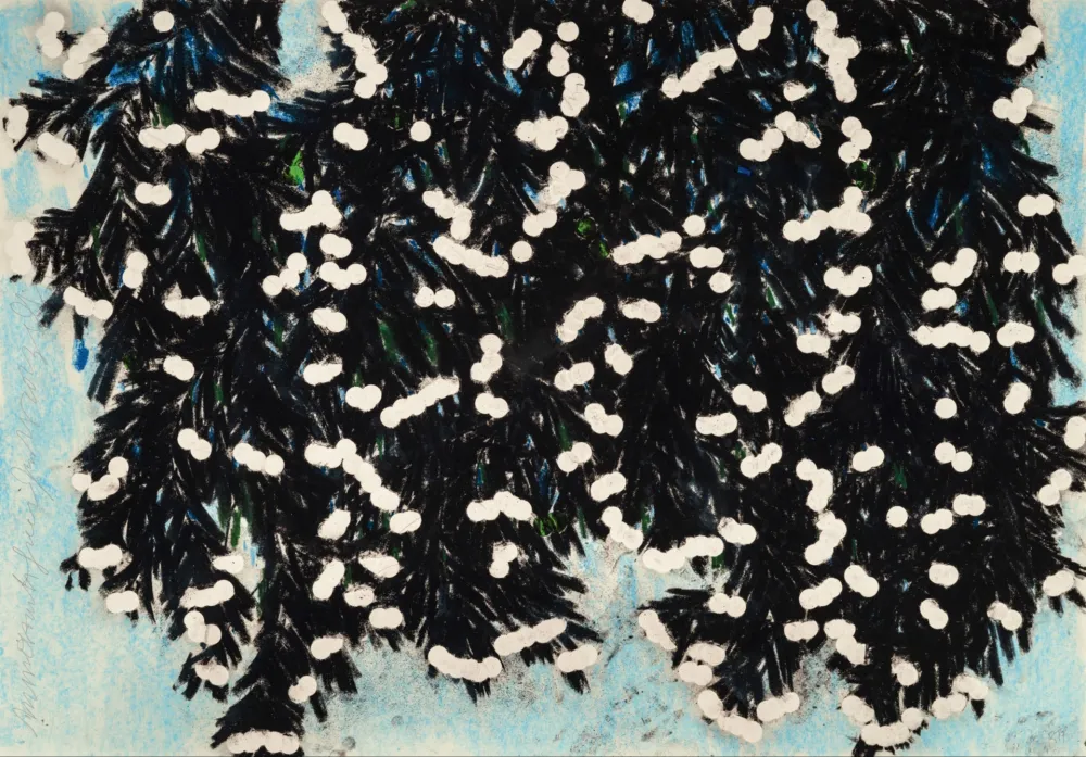 多数の Sultan - Mimosa with Green, Jan 25, 2023