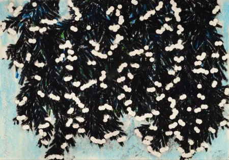 多数の Sultan - Mimosa with Green, Jan 25, 2023