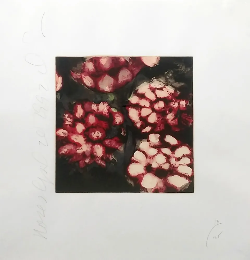 シルクスクリーン Sultan - ROSES