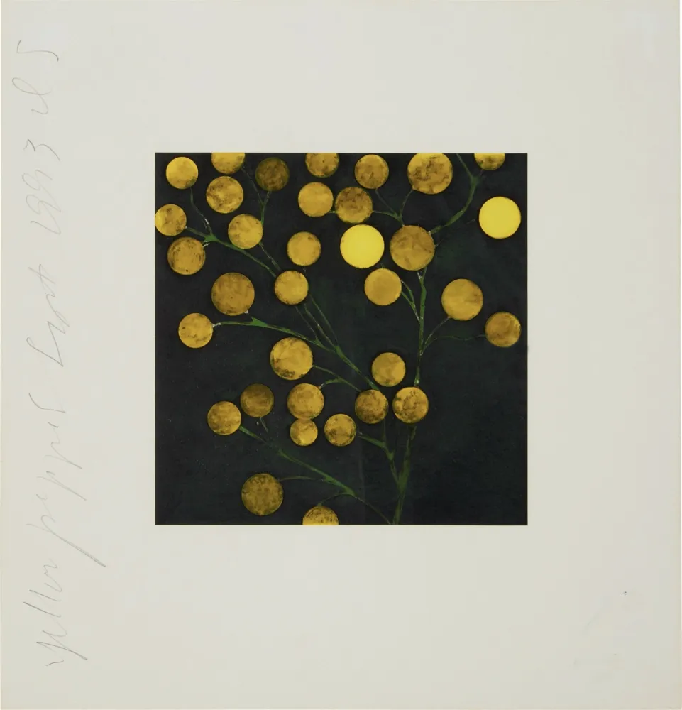 シルクスクリーン Sultan - Yellow Peppers from Fruits and Flowers