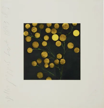 シルクスクリーン Sultan - Yellow Peppers from Fruits and Flowers