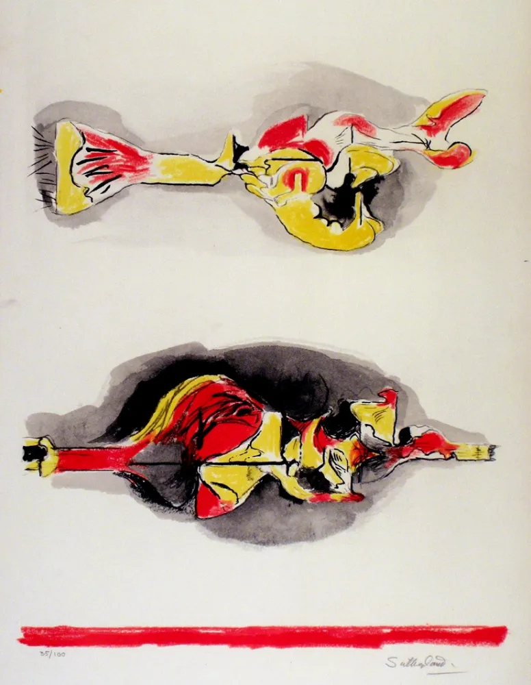 リトグラフ Sutherland - Formes volantes et flottantes