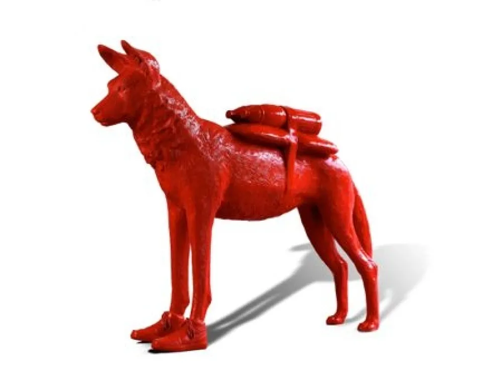 多数の Sweetlove - African dog with shoes and water bottles