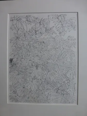 エッチング Szafran - Feuillages ,1977