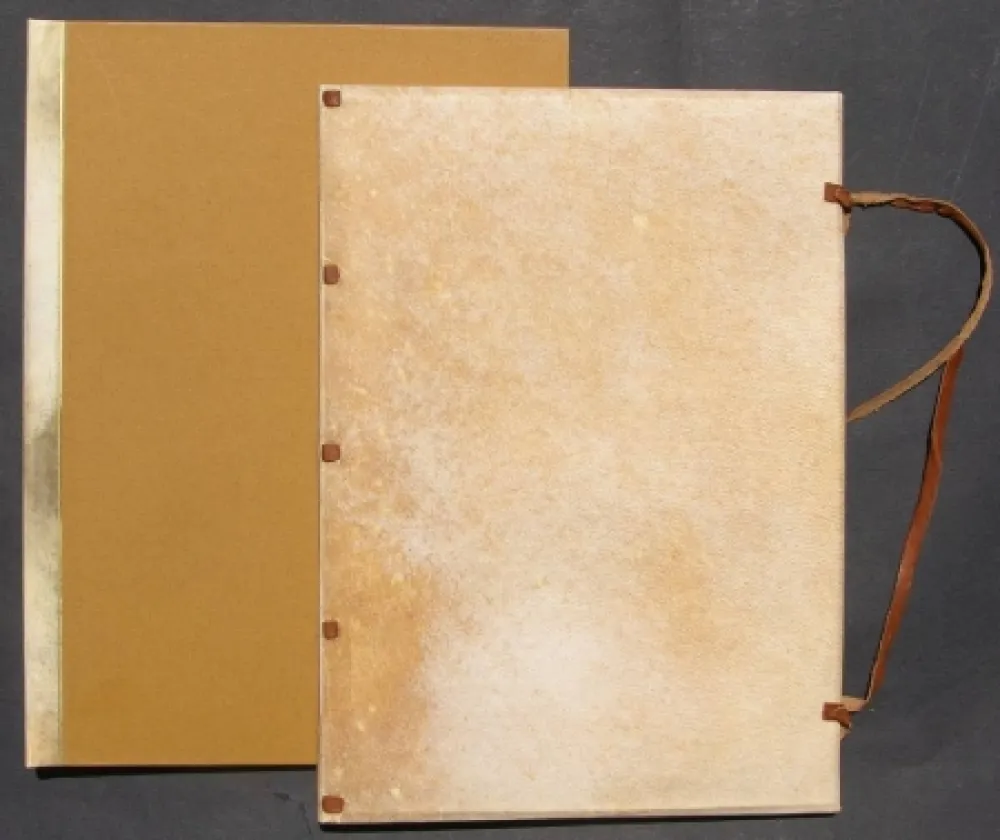 挿絵入り本 Tadini - La donna con la bocca aperta. The Woman With Her Mouth Open