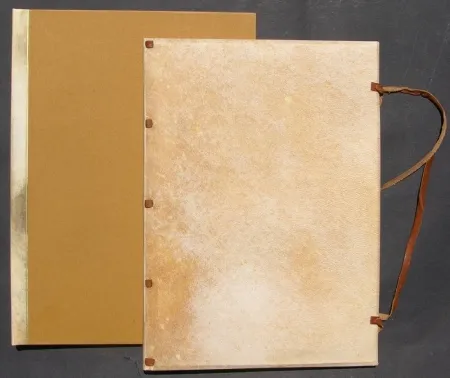 挿絵入り本 Tadini - La donna con la bocca aperta. The Woman With Her Mouth Open