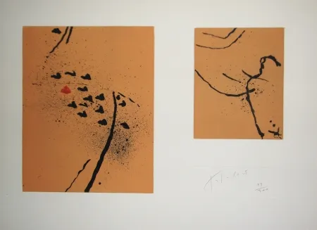 エッチングと　アクチアント Tal Coat - Traces