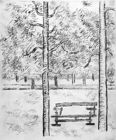 ポイントーセッシュ Tamburi - La panchina