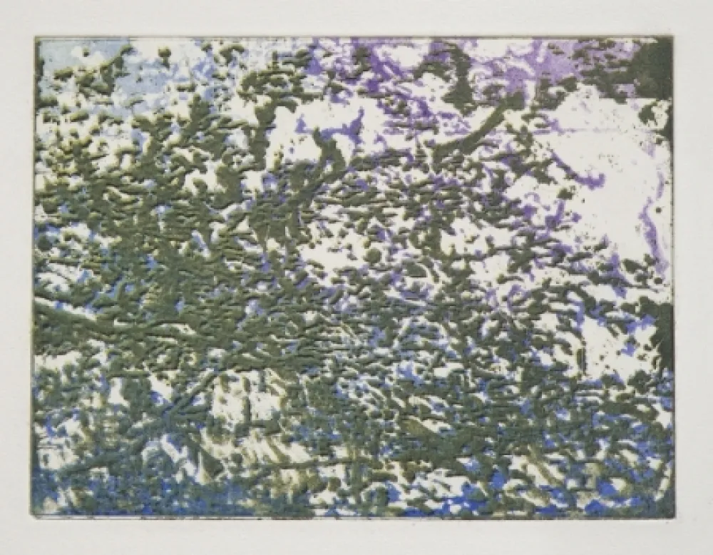 モノタイプ Tanguy - Mortefontaine 2