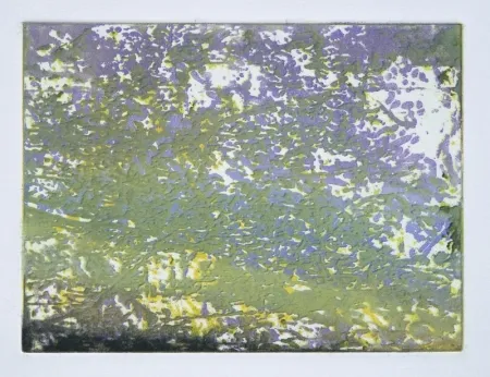 モノタイプ Tanguy - Mortefontaine 4