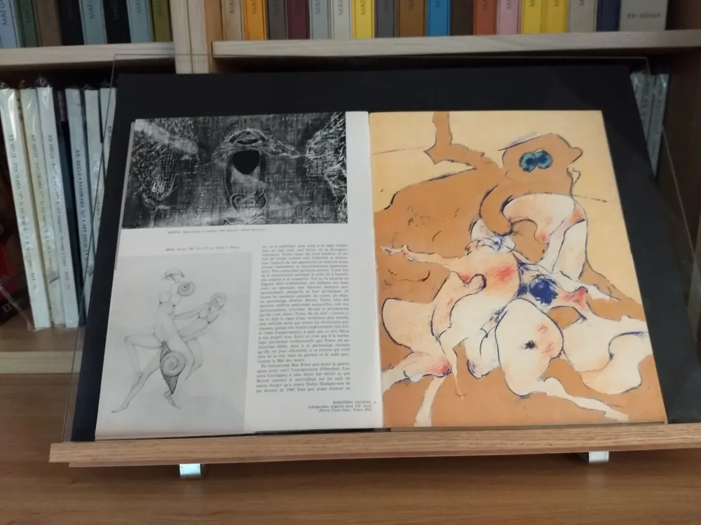 挿絵入り本 Tanning - No 24