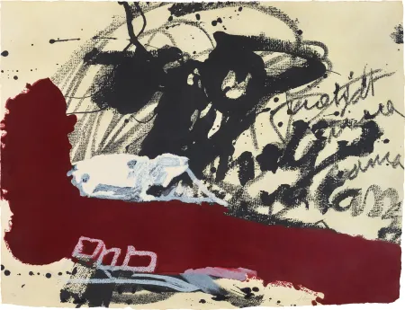 カーボランダム Tanning - Roig i negre