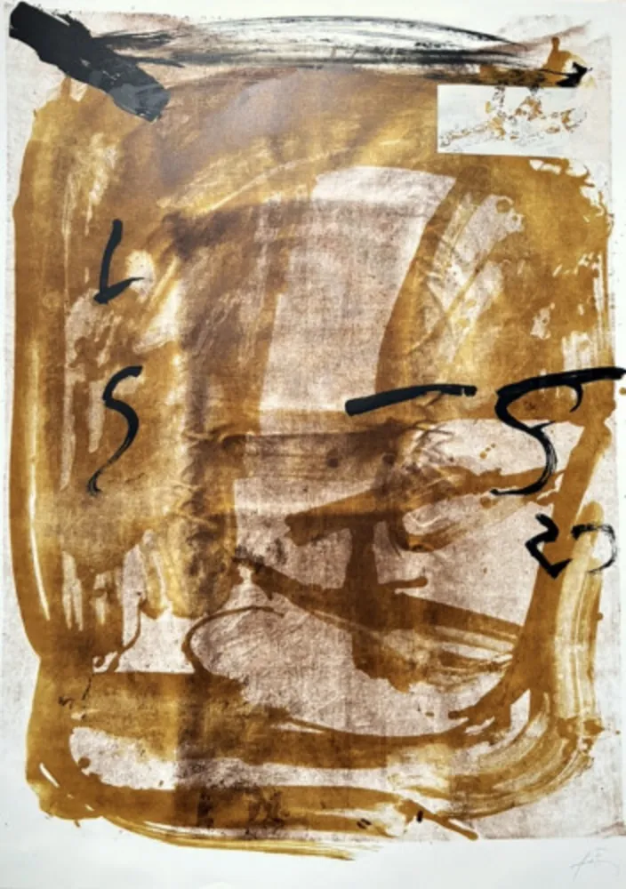 リトグラフ Tàpies - Apparitions