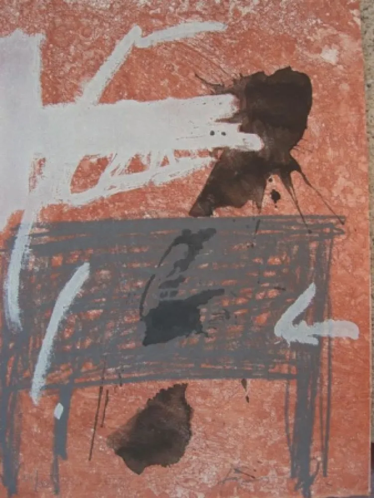 エッチング Tàpies - BOIS DES CERFS (Libro)