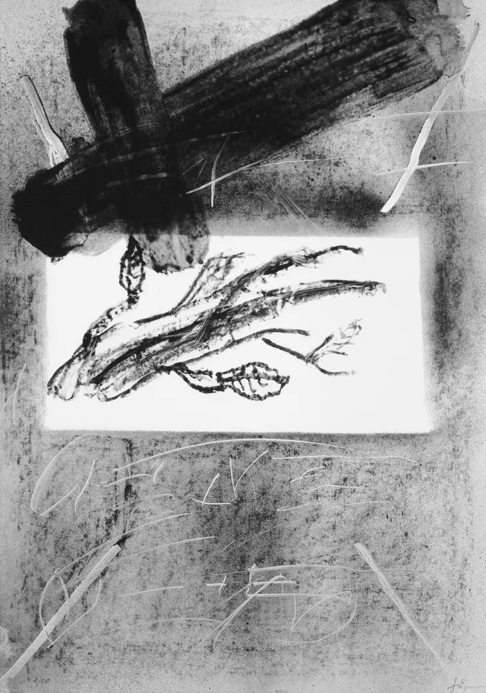 リトグラフ Tàpies - Branca i creu