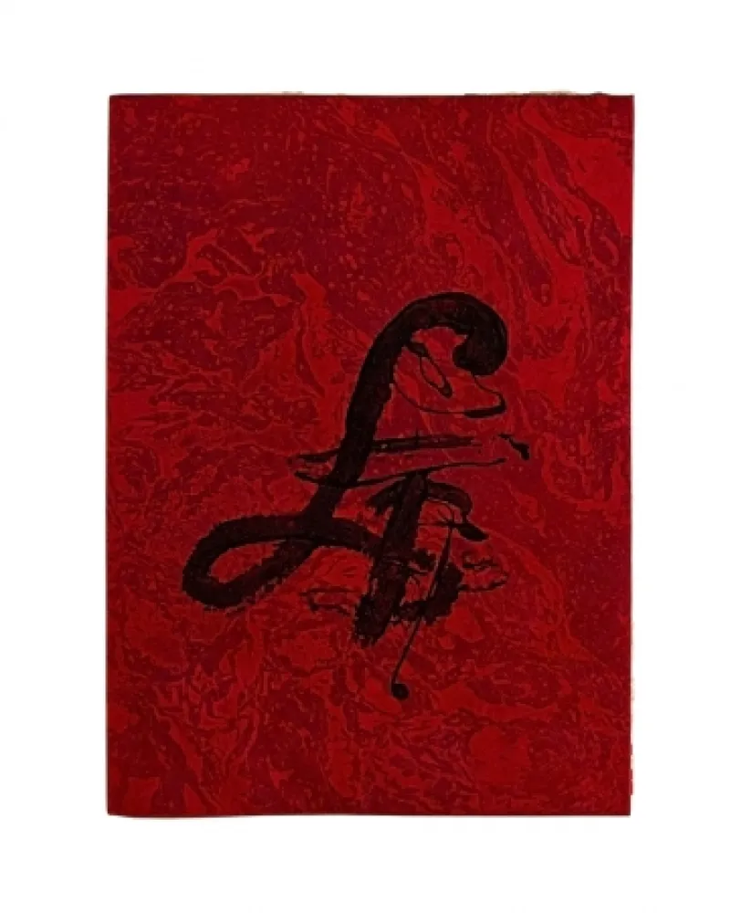 挿絵入り本 Tàpies - Carrer de Wagner