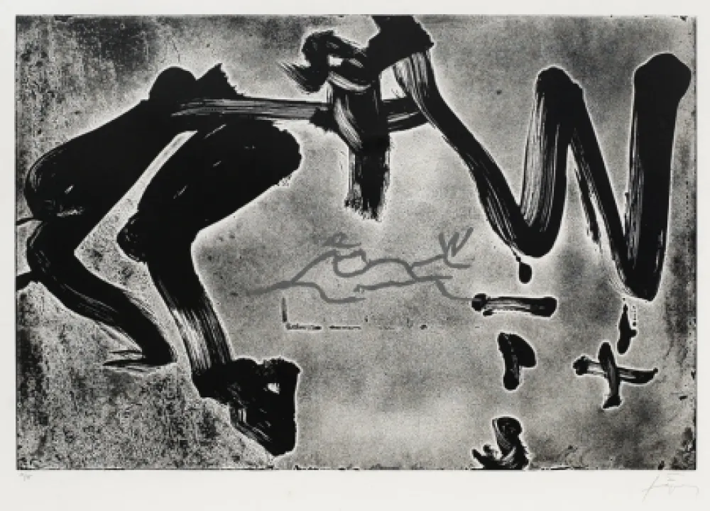 彫版 Tàpies - Carrer de Wagner