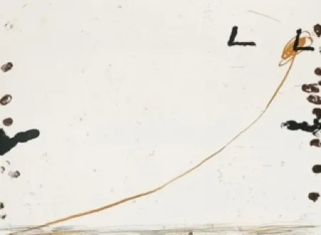 リトグラフ Tàpies - Dib-1