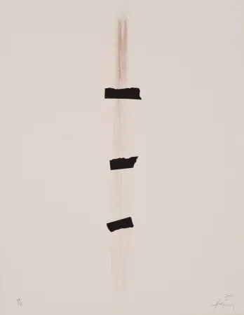 リトグラフ Tàpies - 