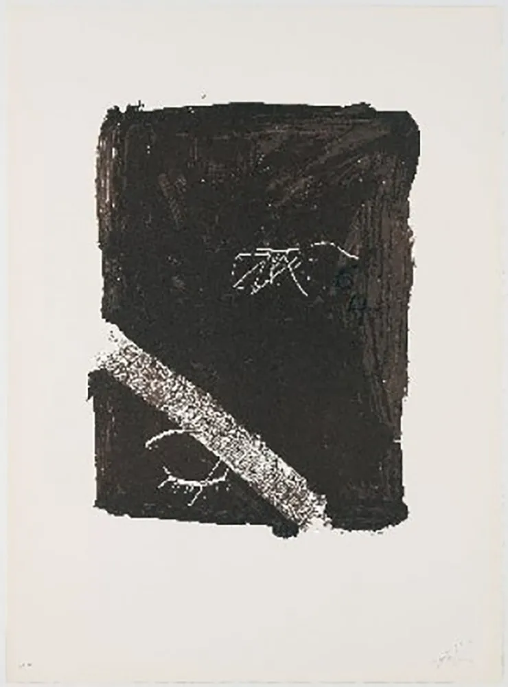 リトグラフ Tàpies - Llambrec-5