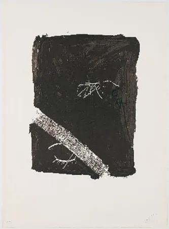 リトグラフ Tàpies - Llambrec-5