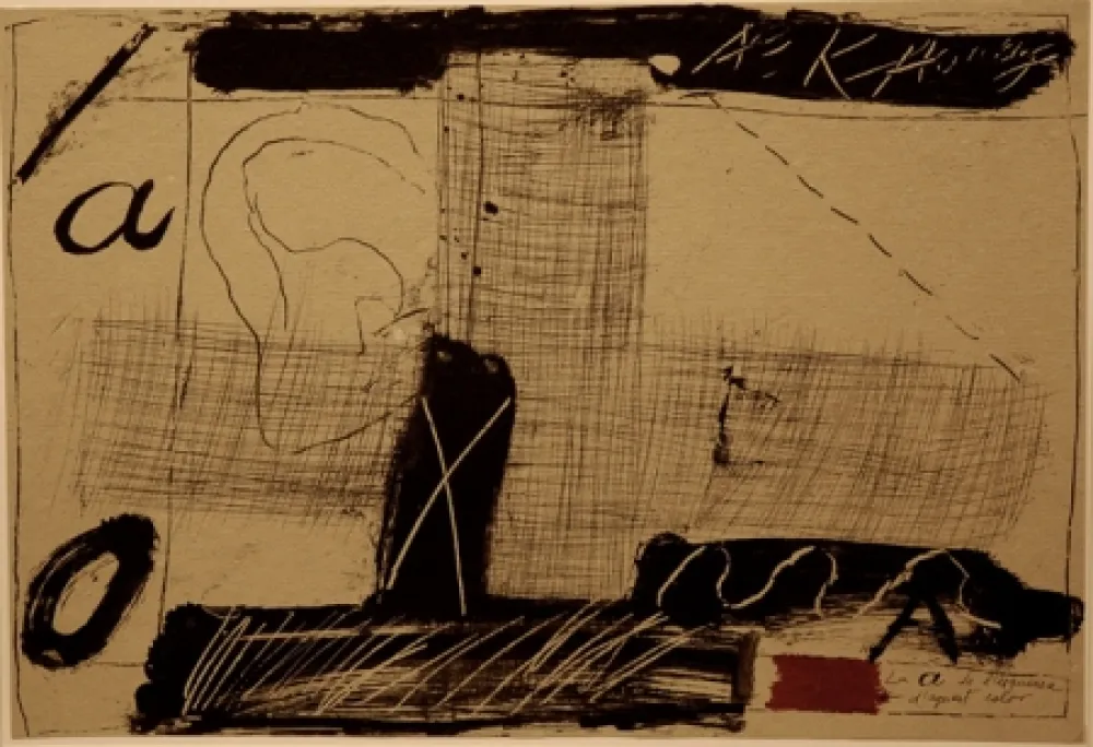 挿絵入り本 Tàpies - Llambrec material