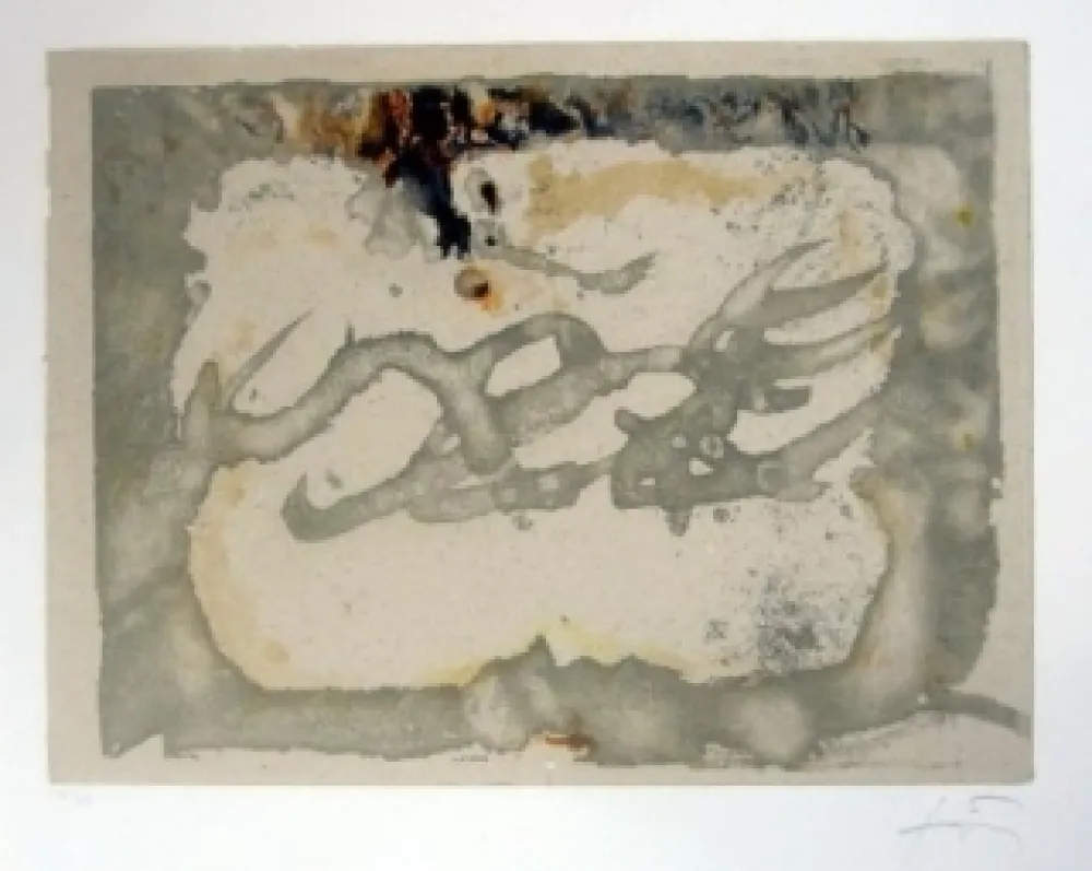 エッチングと　アクチアント Tàpies - Muntanyes