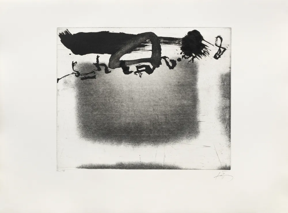 彫版 Tàpies - Panier