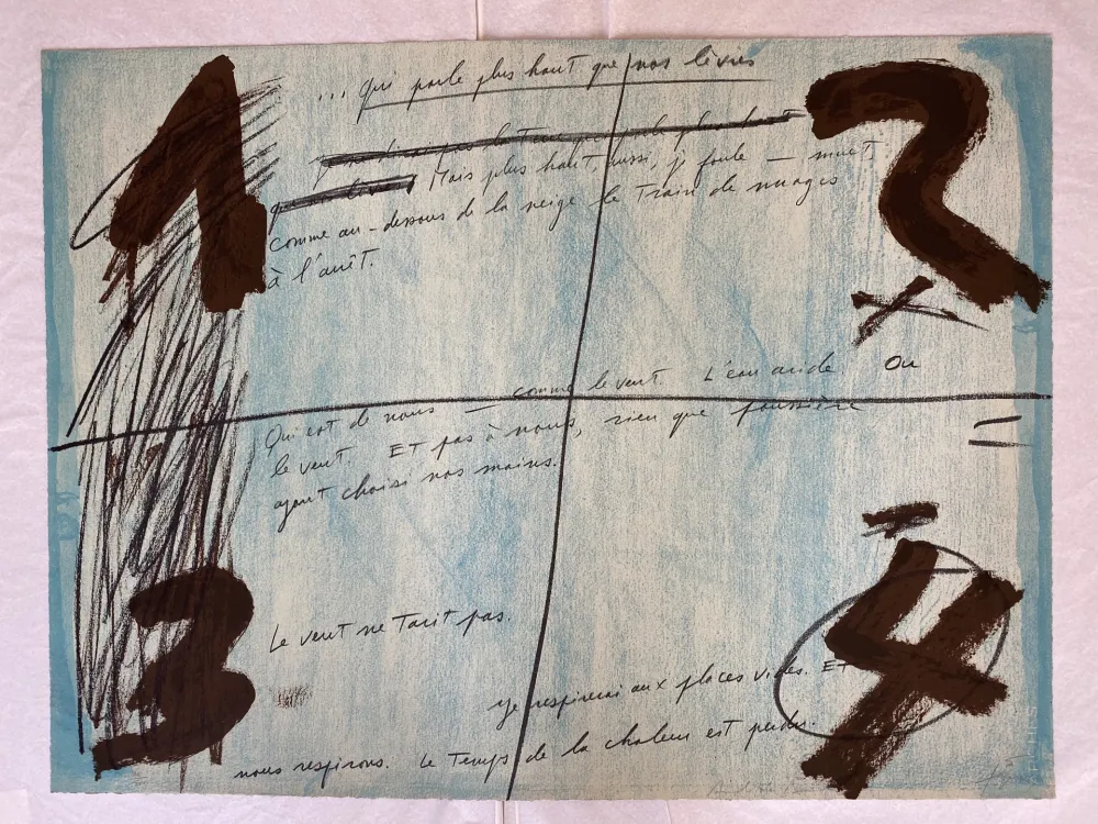 リトグラフ Tàpies - Placards 