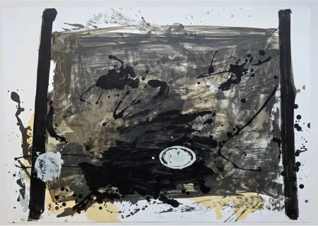 技術的なありません Tàpies - Suite