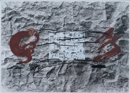 リトグラフ Tàpies - Suite 63 x 90 (No 10)