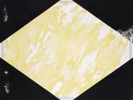 彫版 Tàpies - Tressé