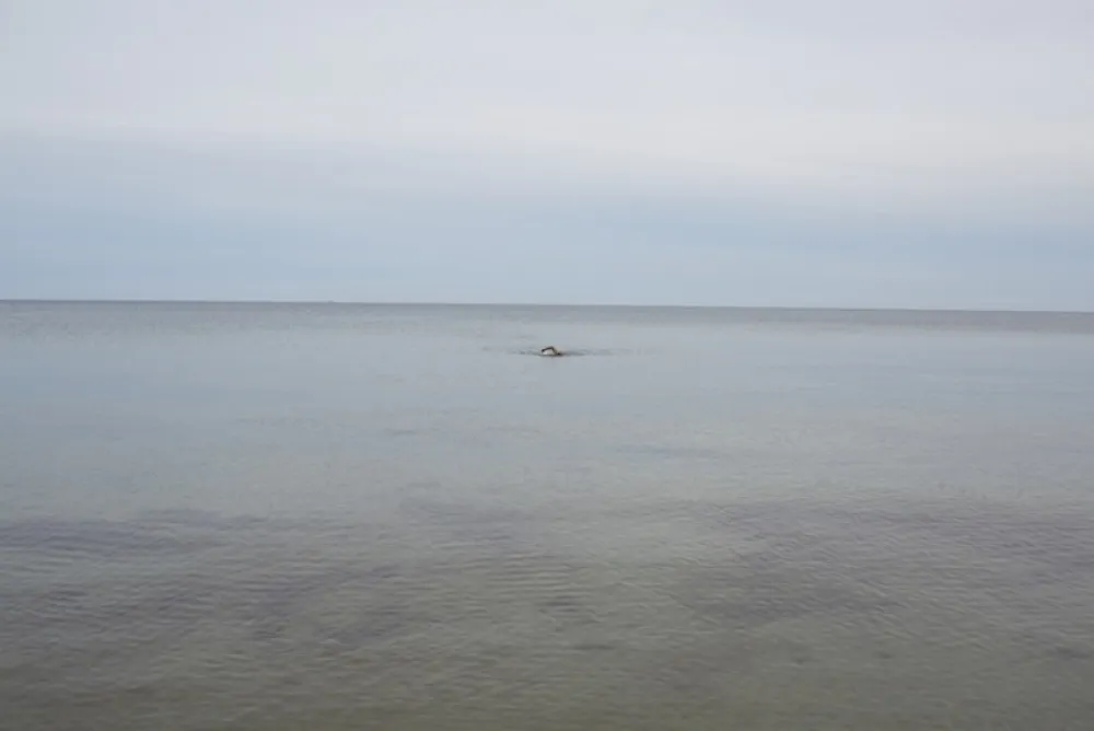 技術的なありません Teller - Swimming, Glemmingebro, Sweden 2015