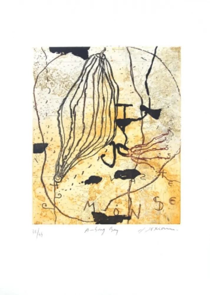 エッチングと　アクチアント Texier - Ambong Bay