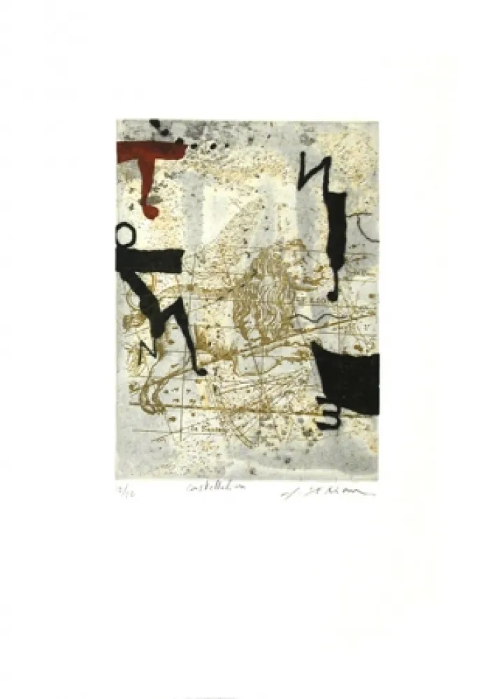 エッチングと　アクチアント Texier - Constellation