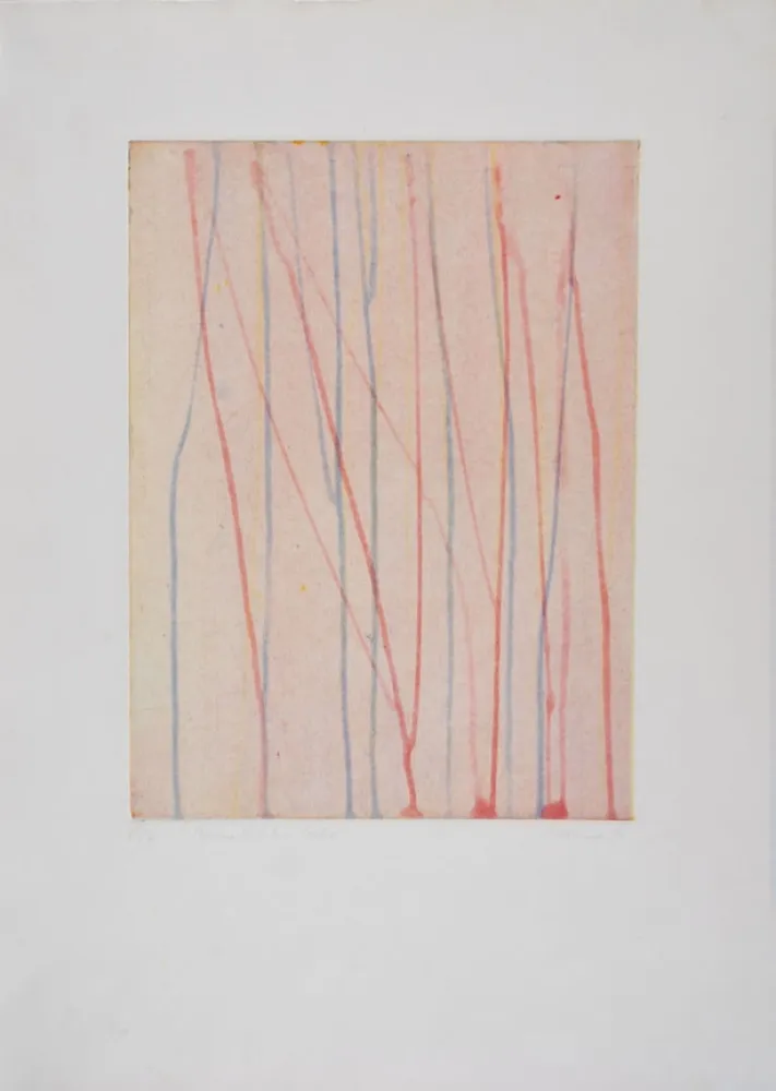 エッチングと　アクチアント Thoma - 